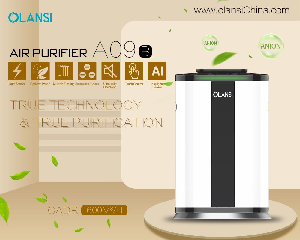 Best Top 10 True HEPA Air Purifiers Manufacturers